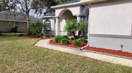 Hedge Trimming In Ocala Florida.