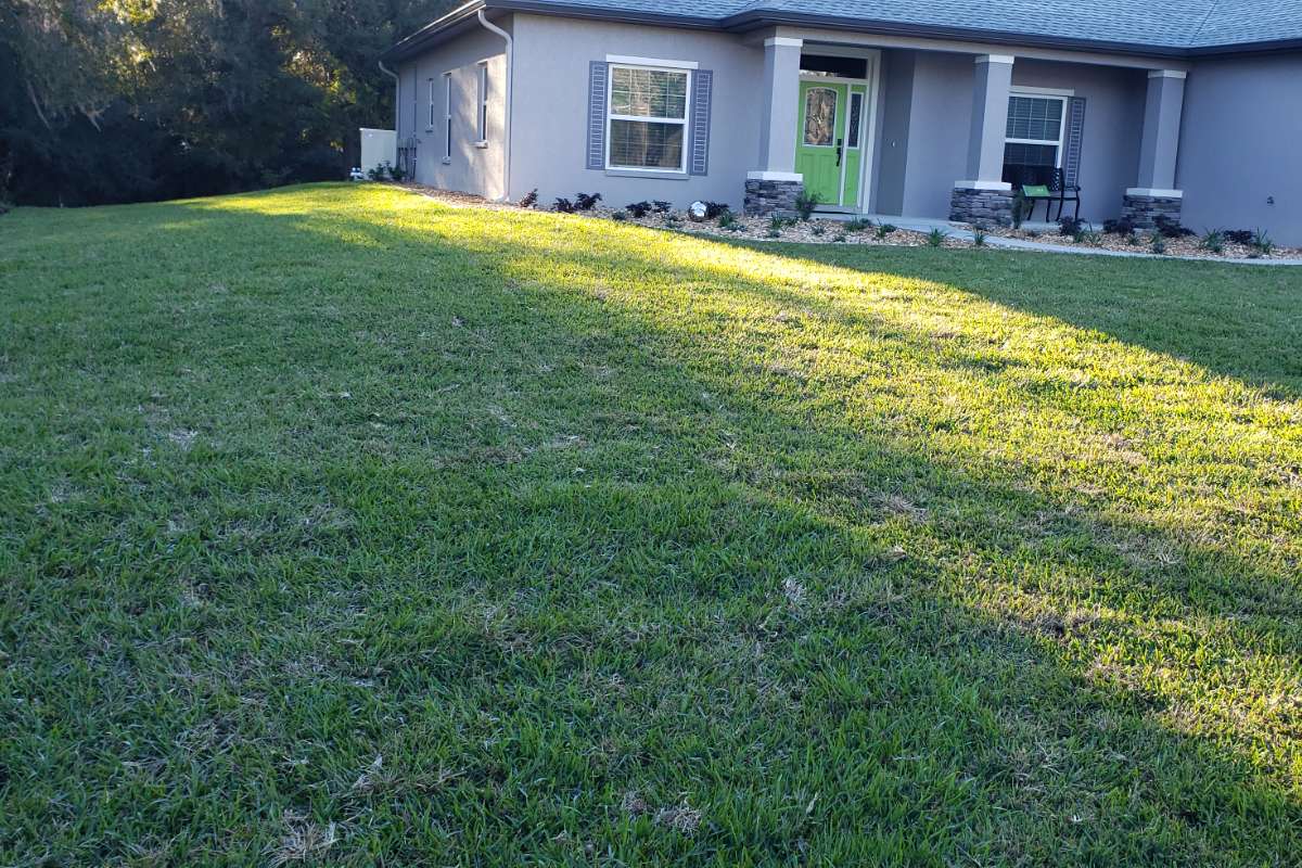 Lawn Care Service Gainesville Florida